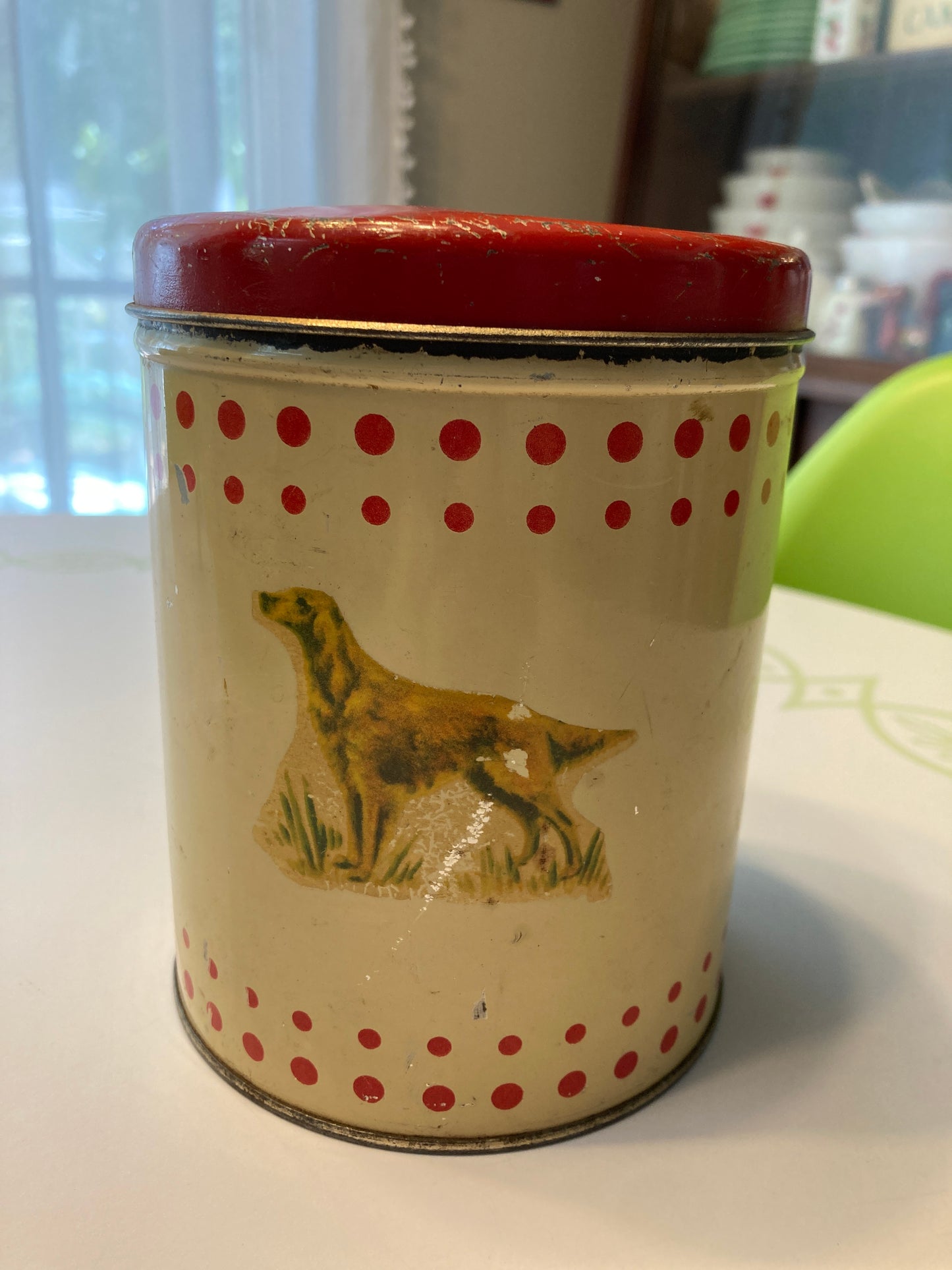 Vtg. Dog Tin