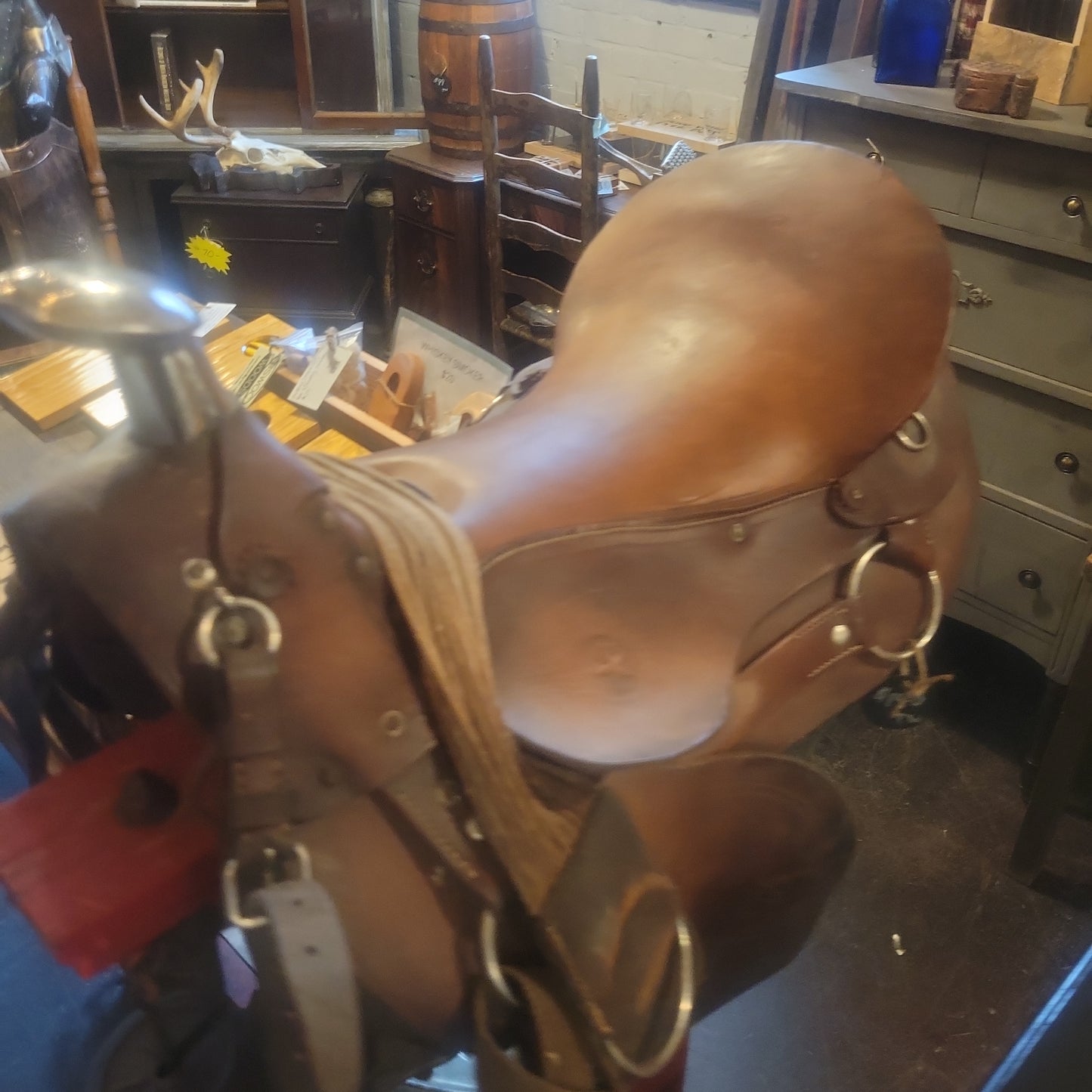 Saddle