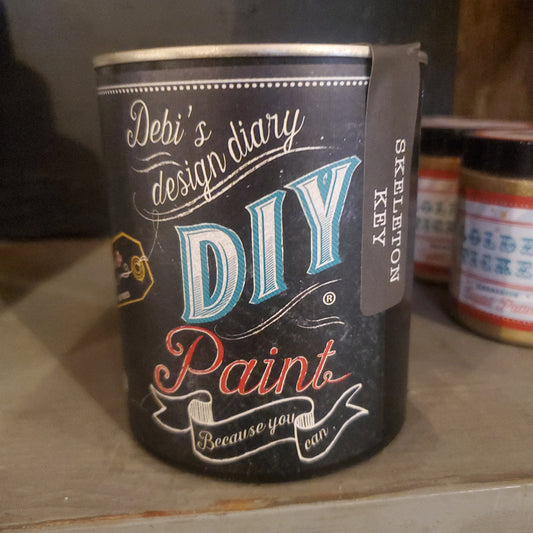 Debis DIY paint skeleton key