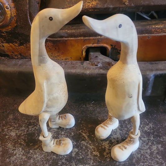 Duck