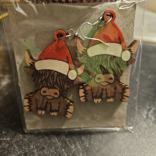 Earrings