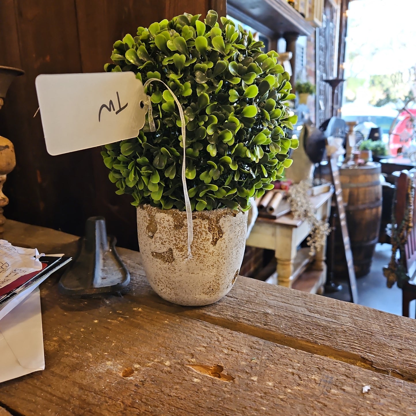Boxwood ball