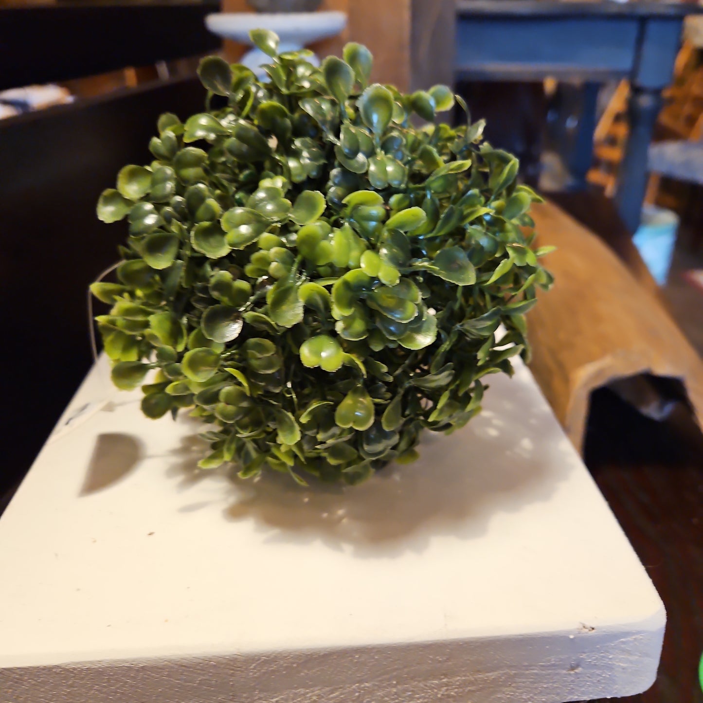 Boxwood orb