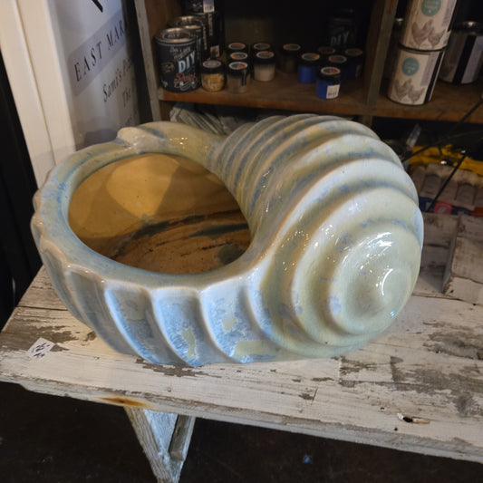 Shell Planter