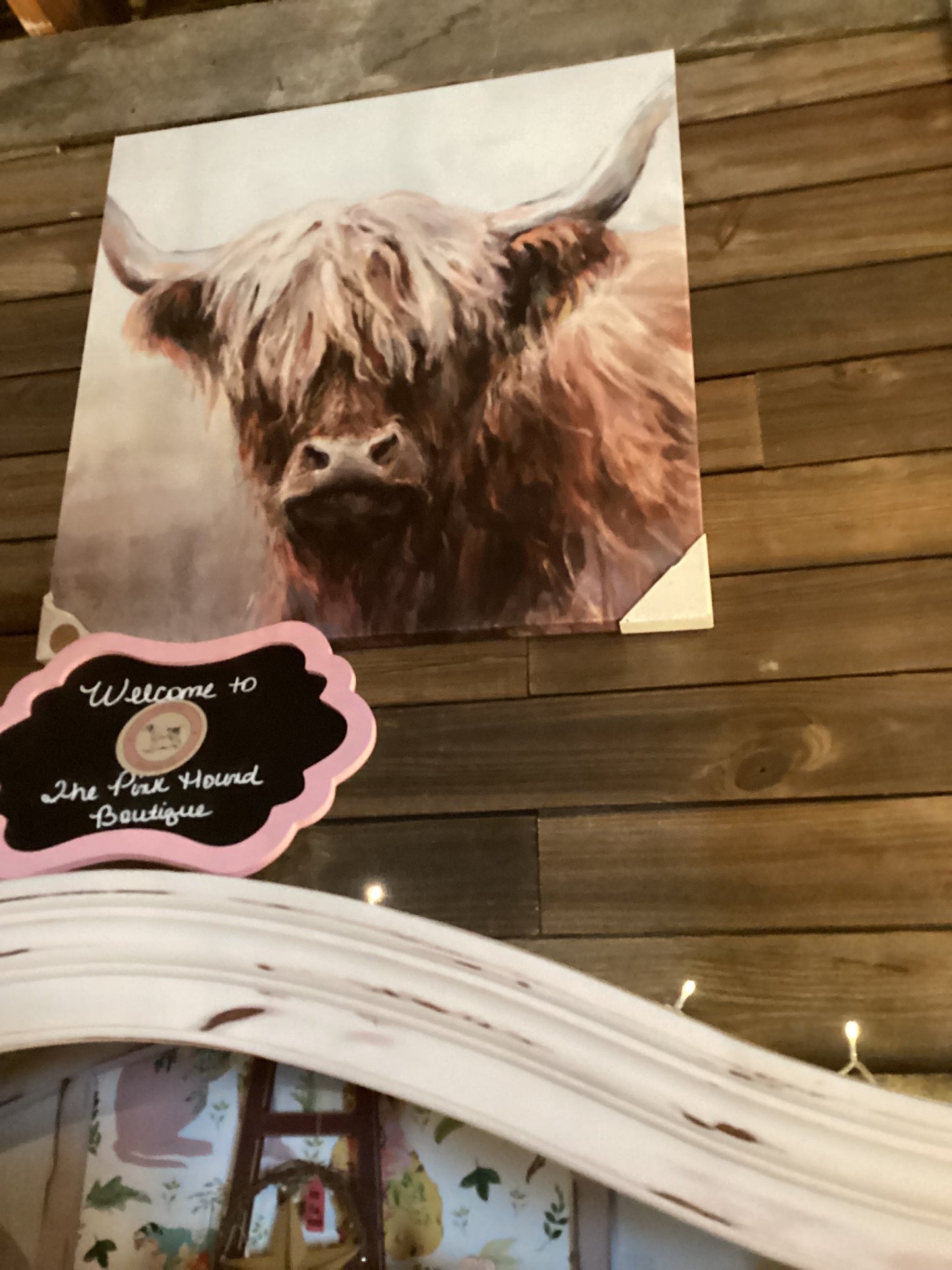 Large Highland Cow Picture