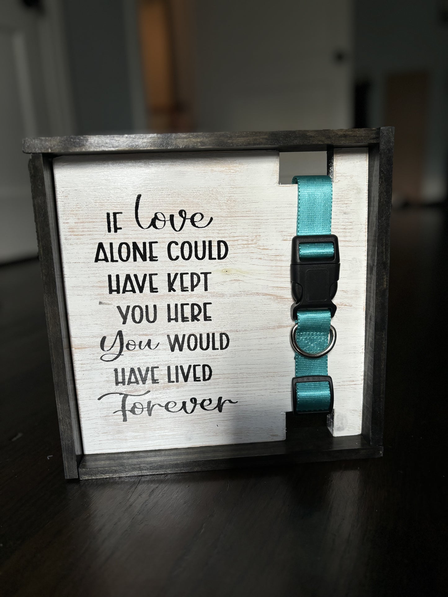 Pet collar memory display