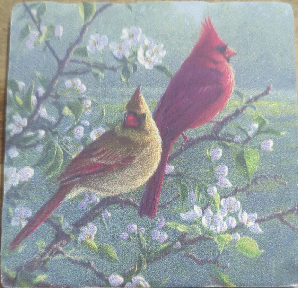 Cardinals #1 Coaster