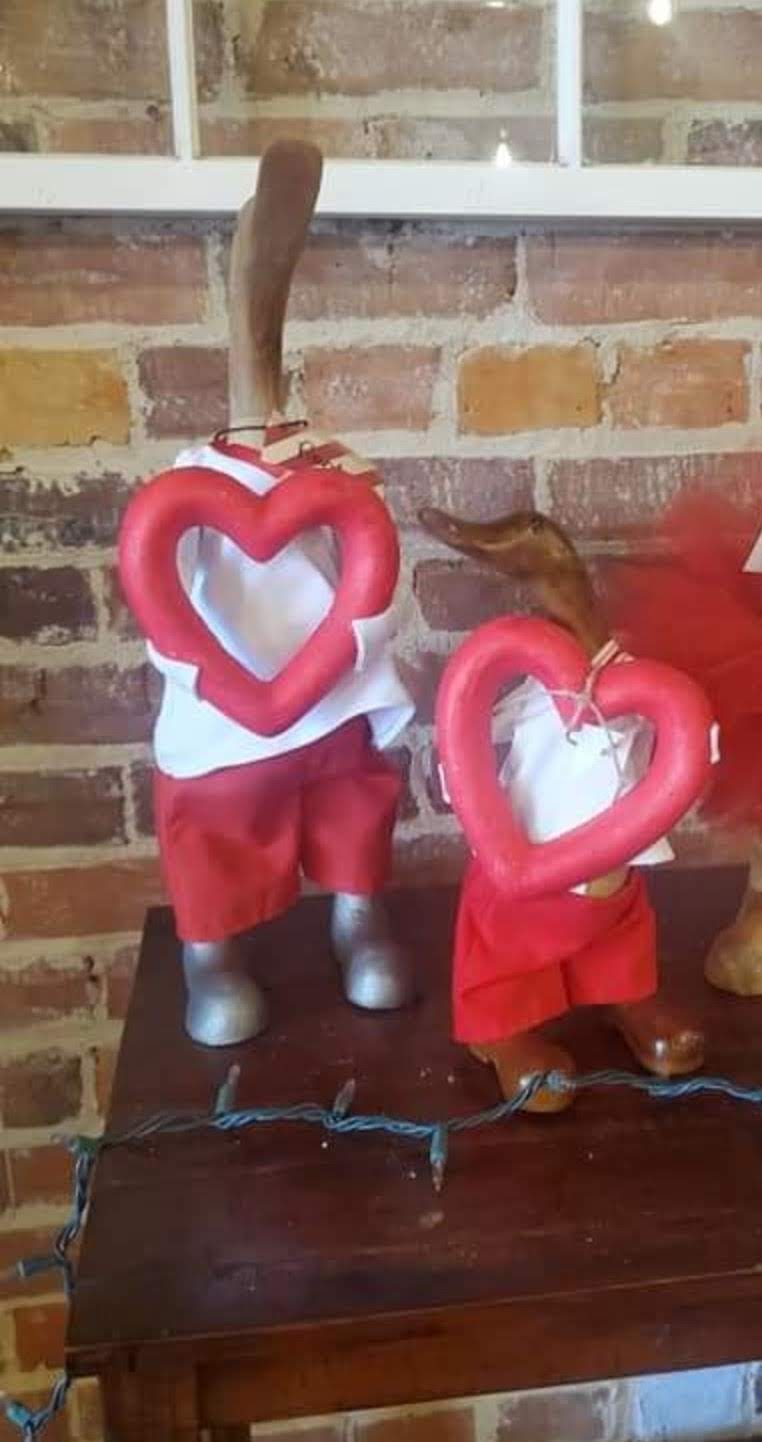 Small Duck Valentine Outfit