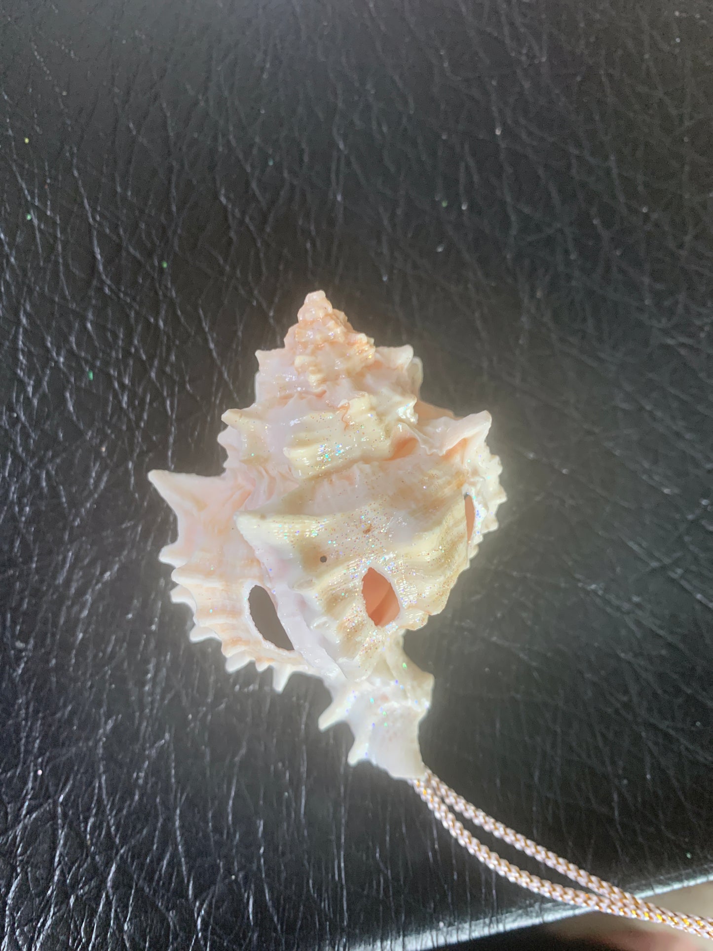 Conch Shell Christmas Ornament