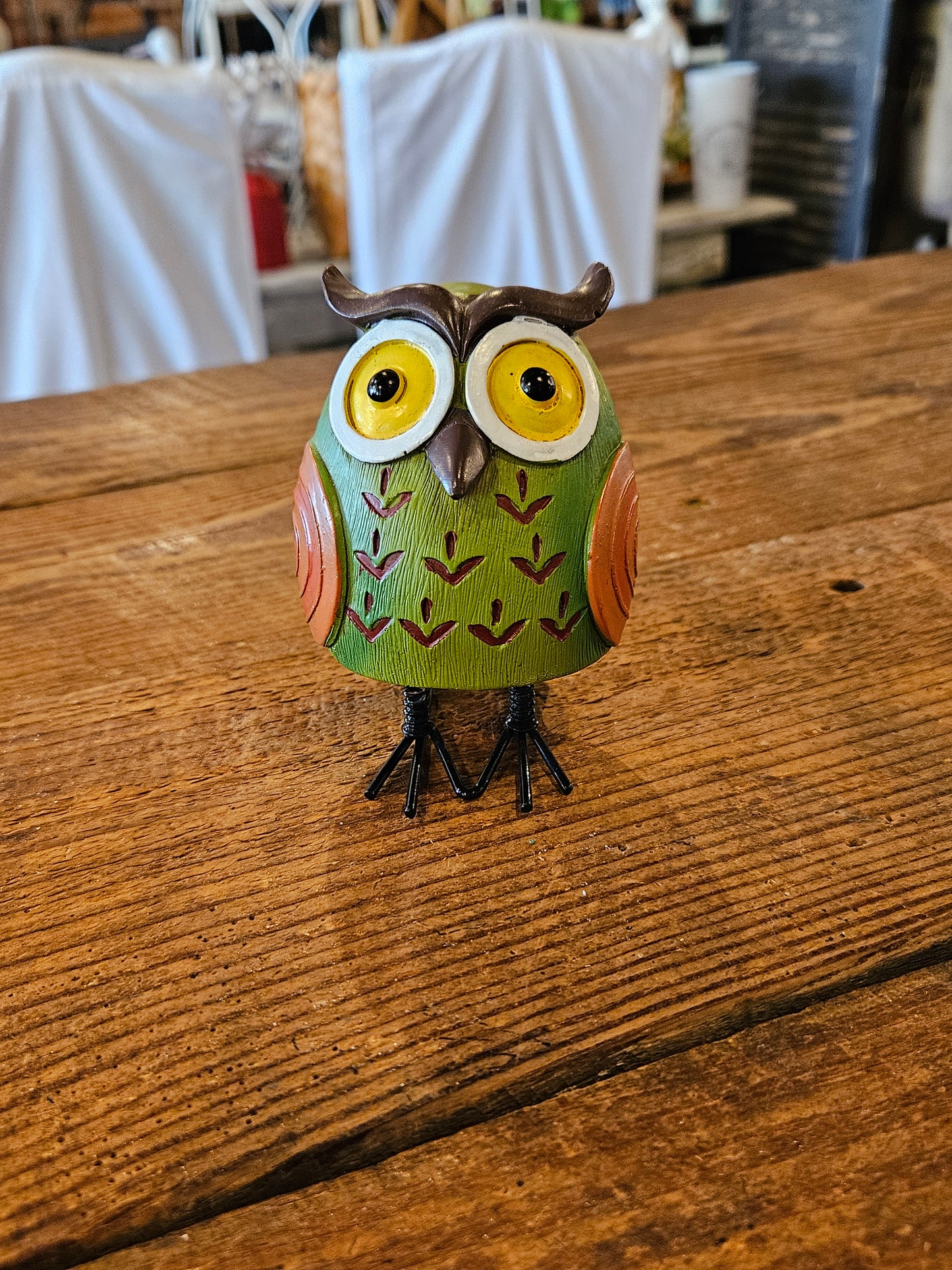 Owl