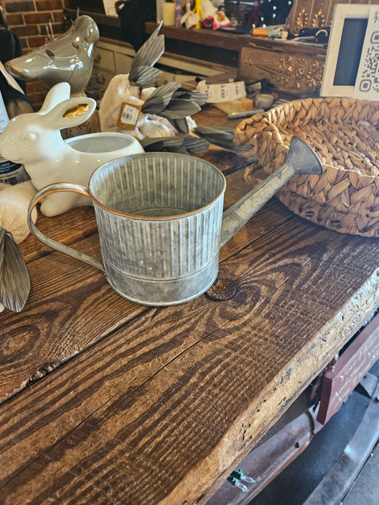 Watering can planter