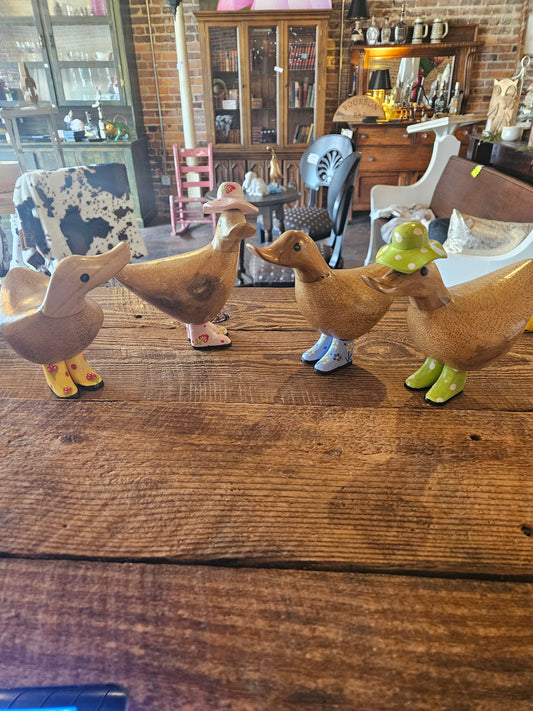 Baby ducks