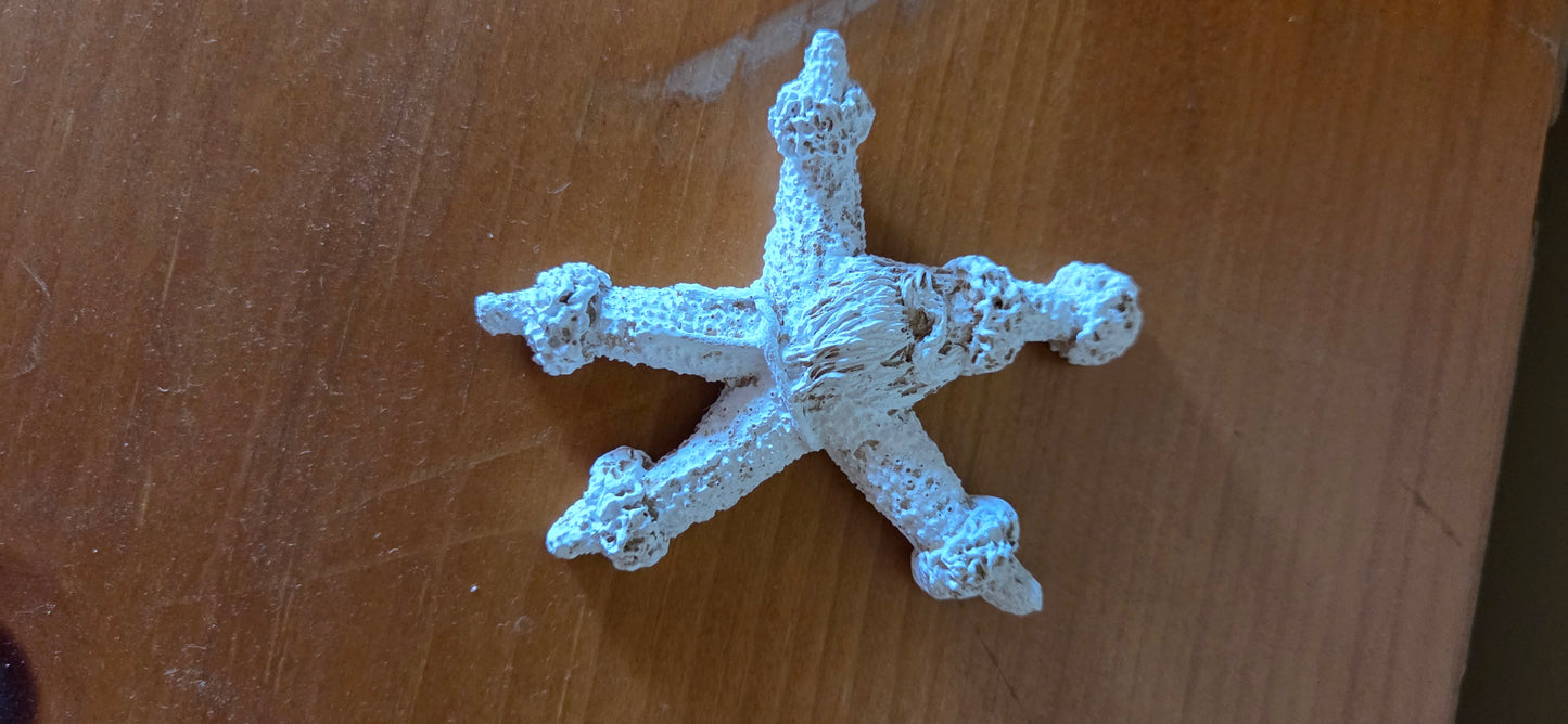 Santa Starfish Ornaments