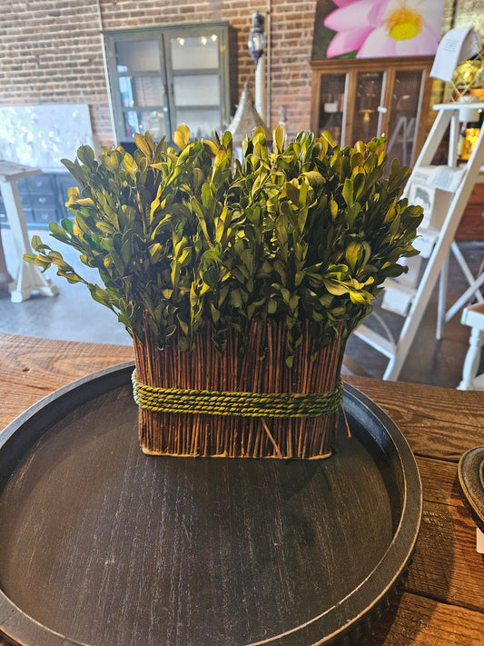 Plant