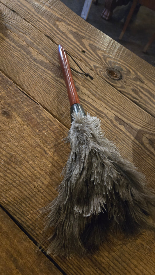 Feather duster