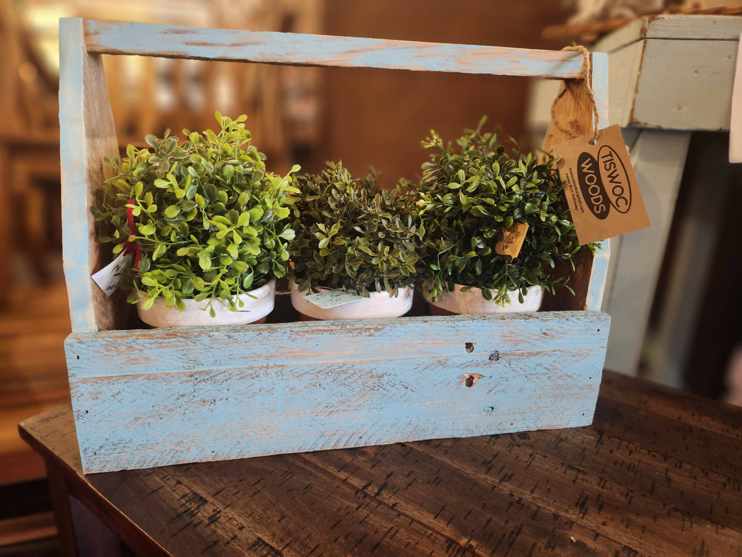Reclaimed Wood Toolbox with Terracotta Pots