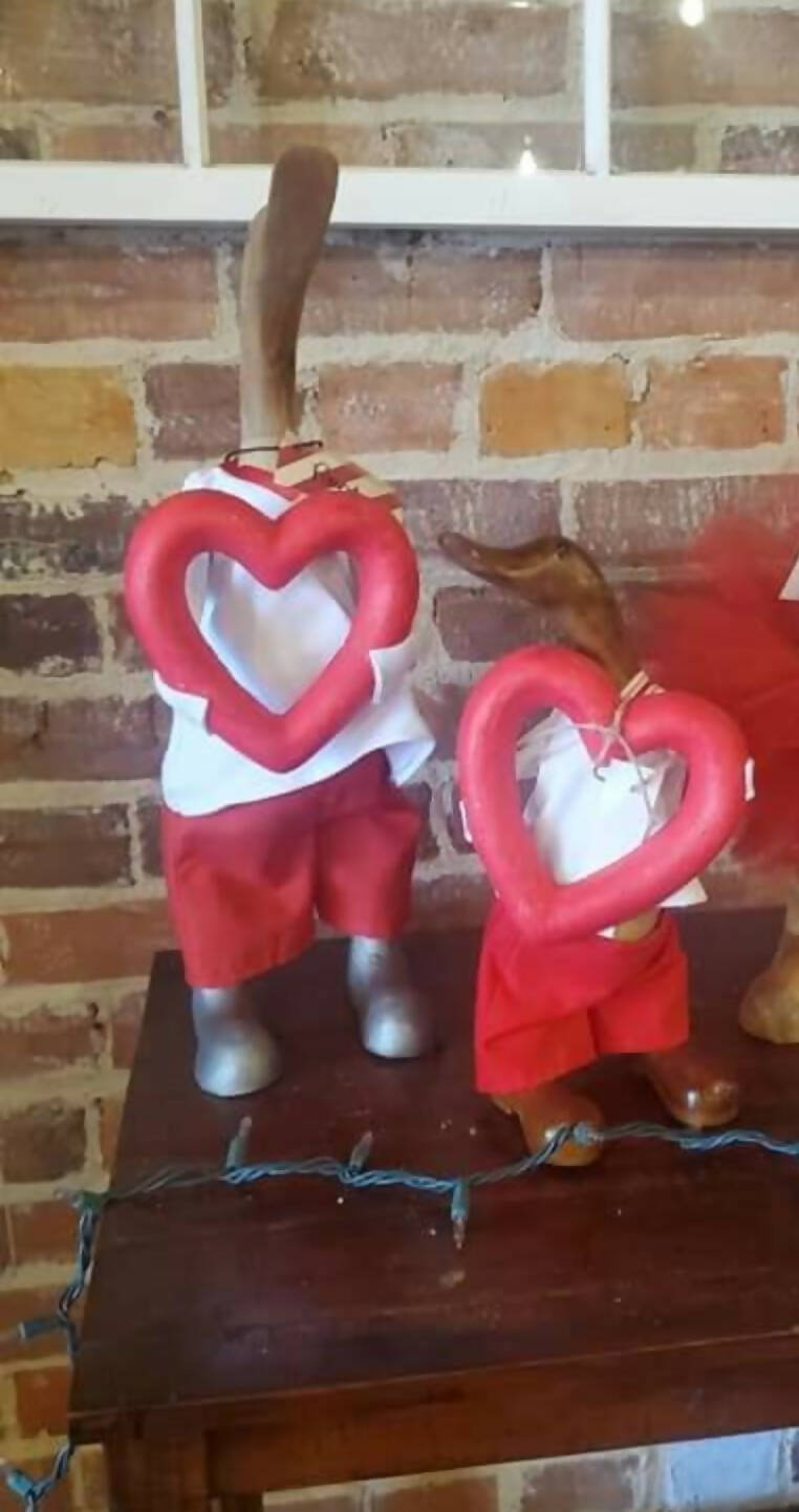 Large Duck Valentine Outfits