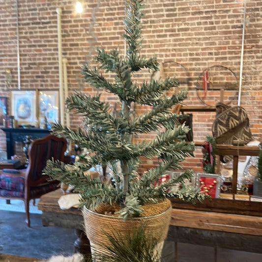 Tree(White and Brown Pot)