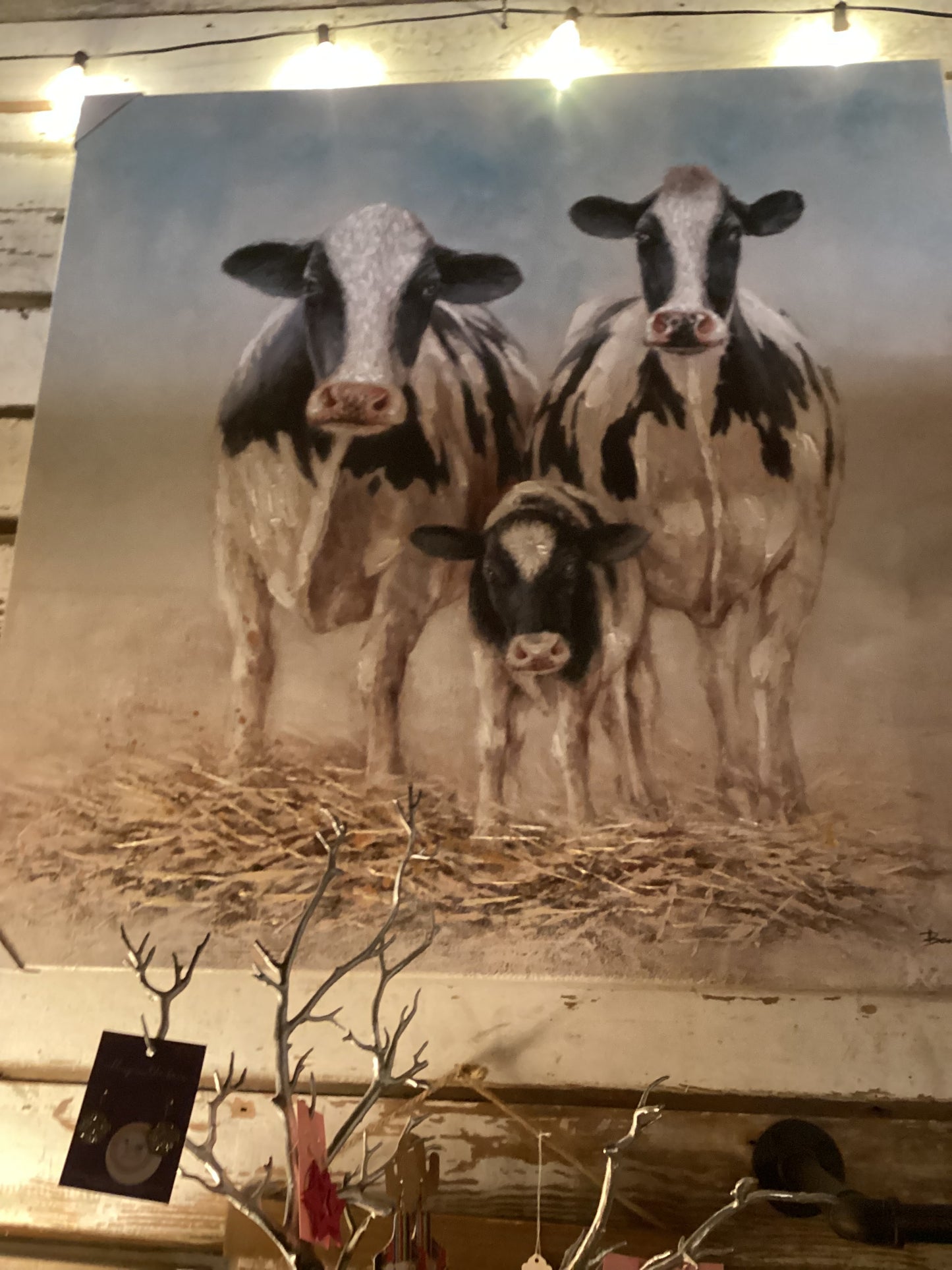 Large Cow Canvas