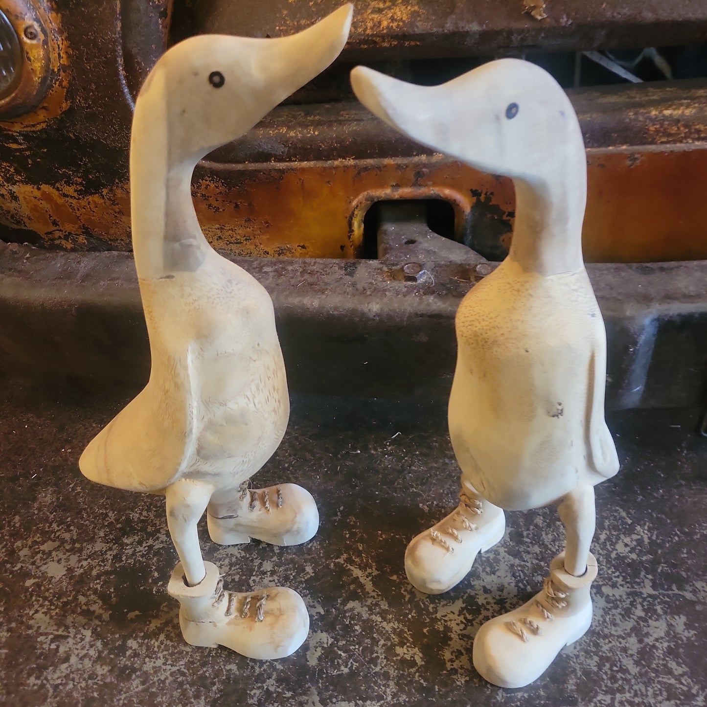 Duck