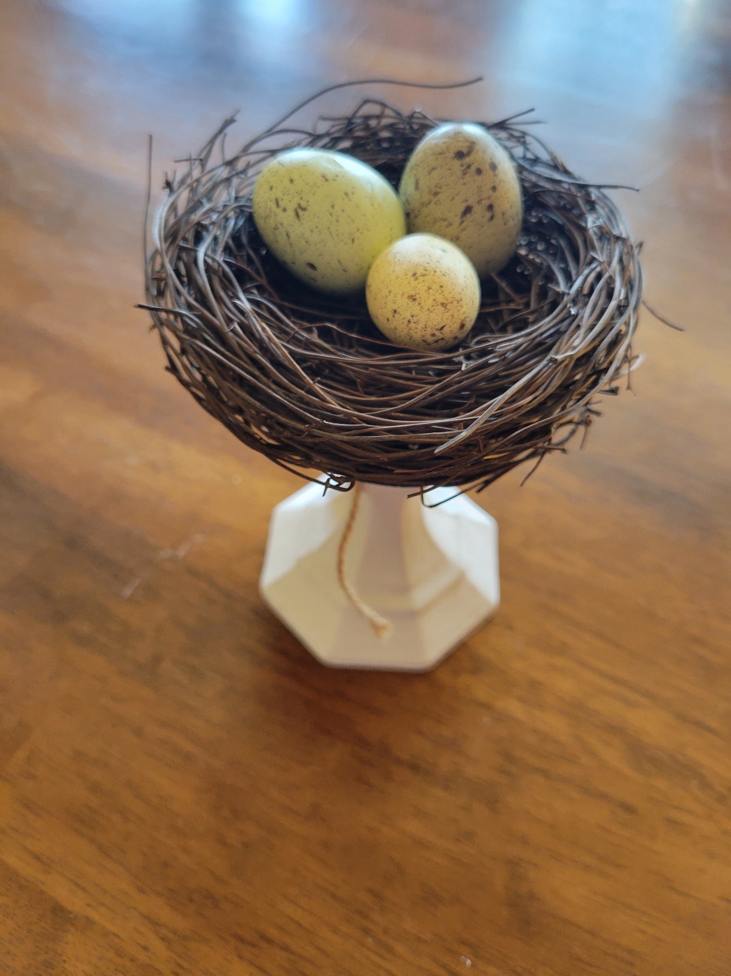Egg Nest
