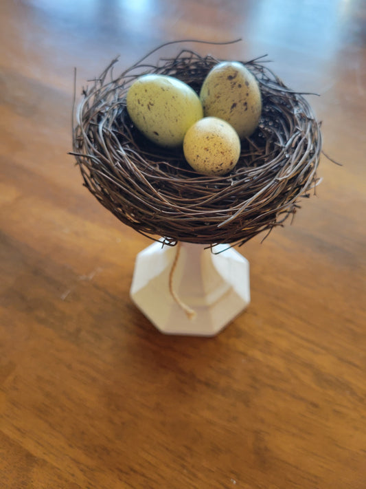 Egg Nest