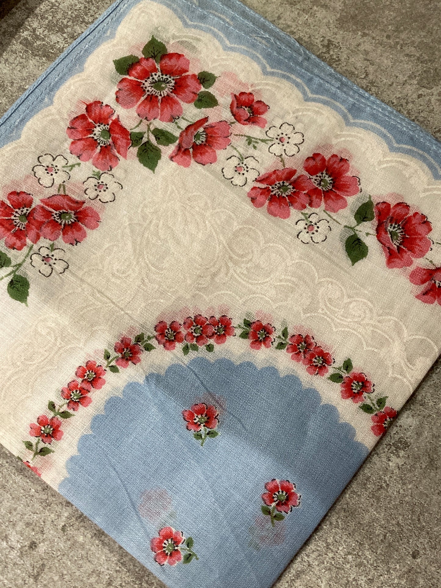 Dianthus Hankie
