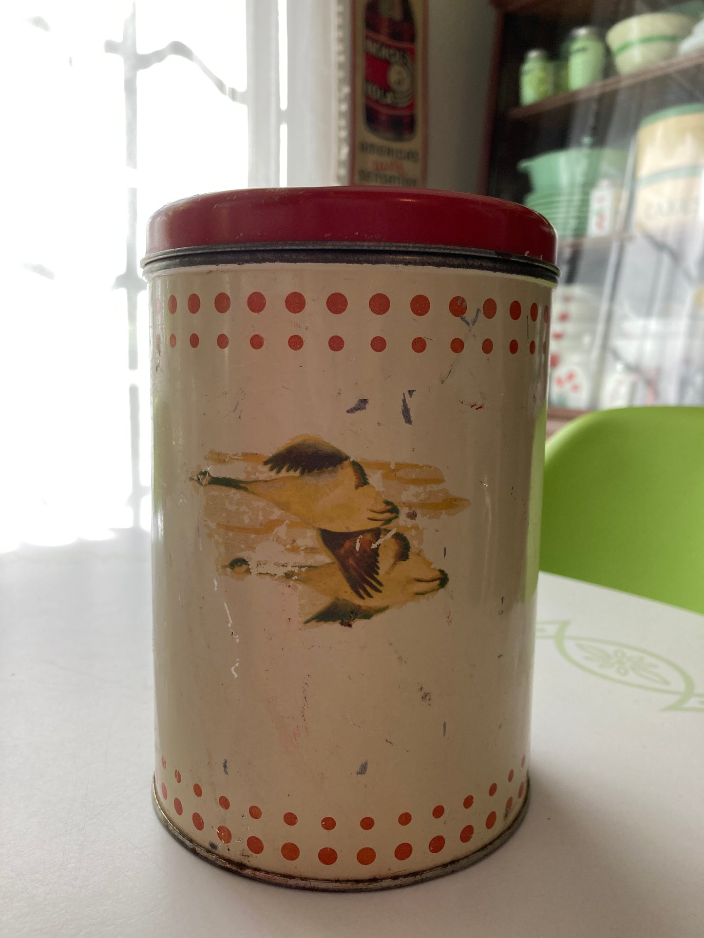 Geese Tin