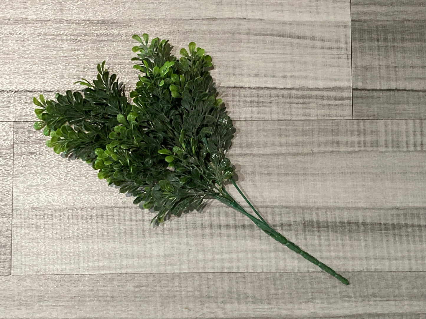 Greenery Stem