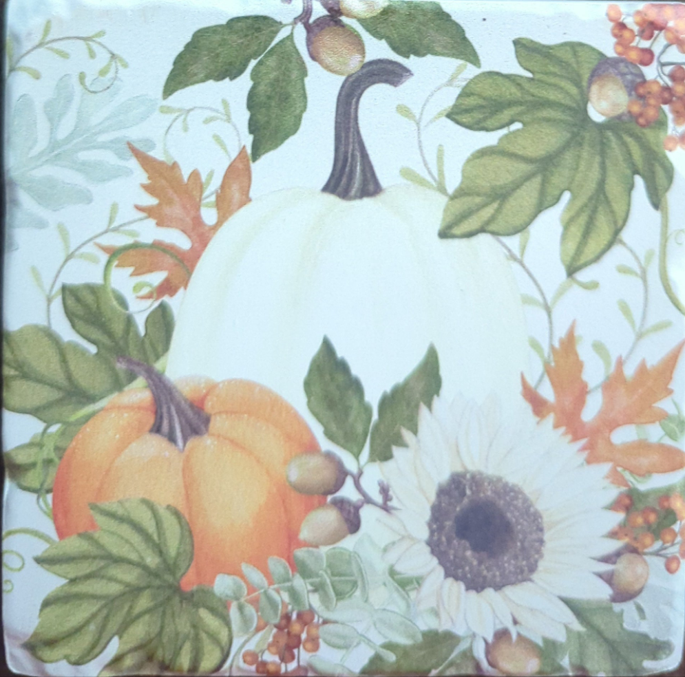 Farmhouse Pumpkins Coaster