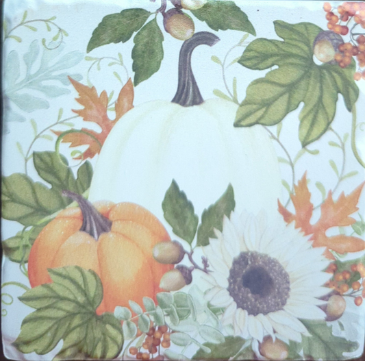 Farmhouse Pumpkins Coaster