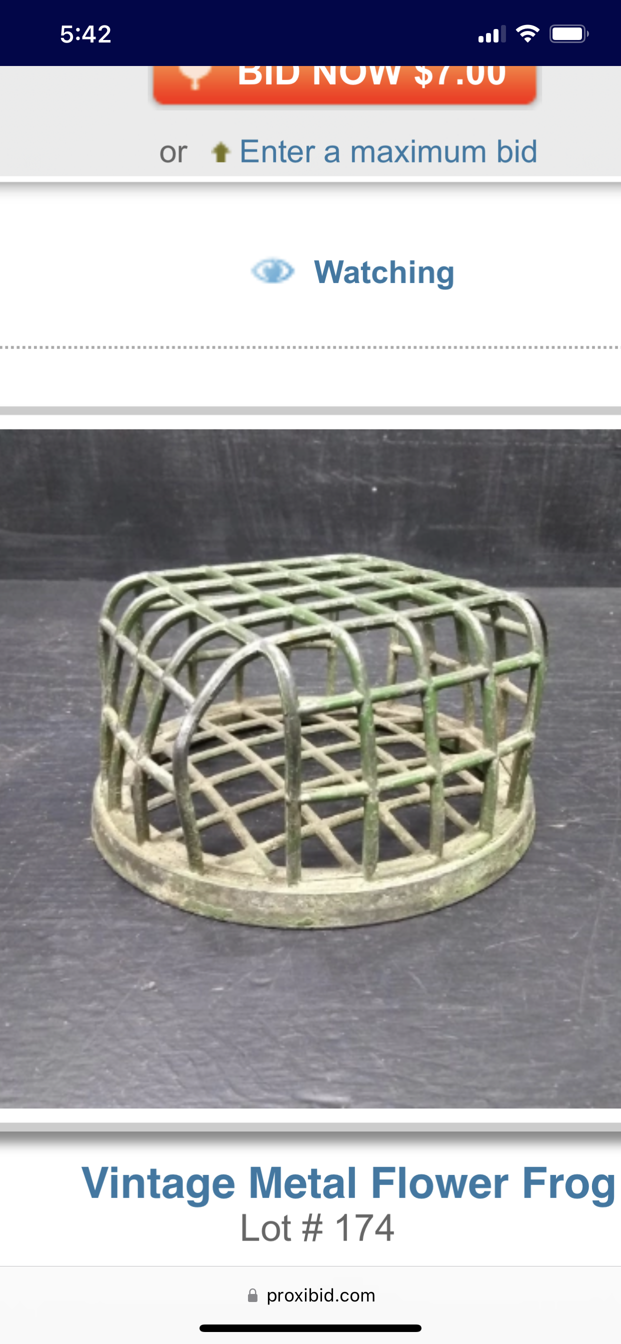 Antique Large Flower Frog