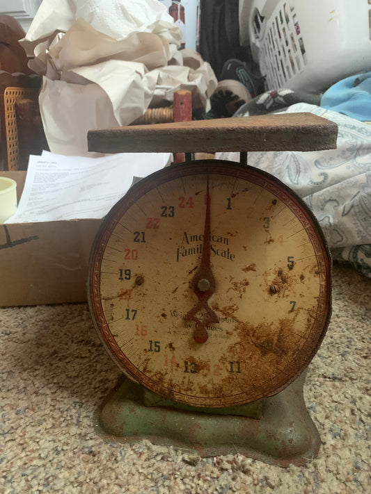 1920’s American Family Scale