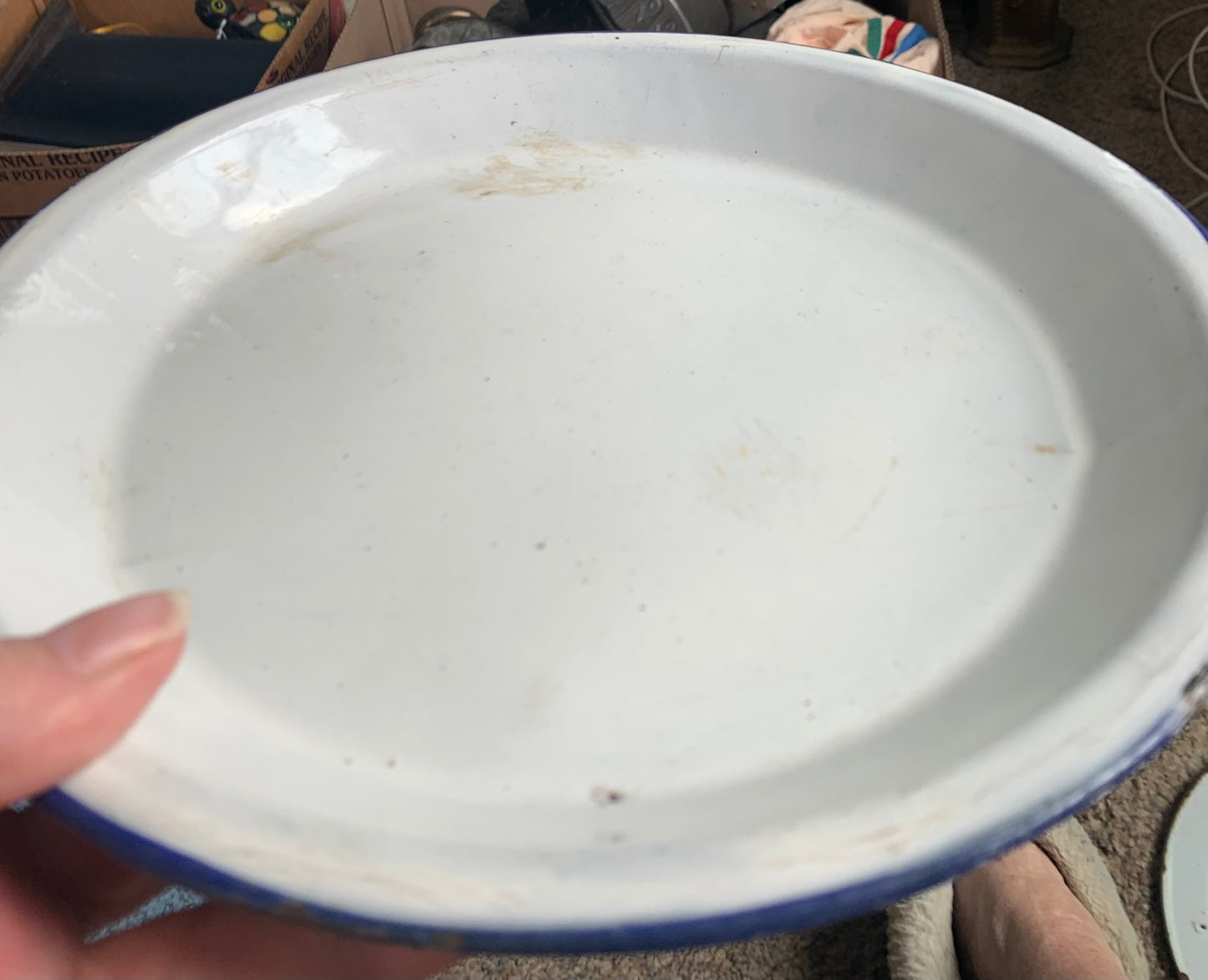 Robin Egg Blue Pie Plate