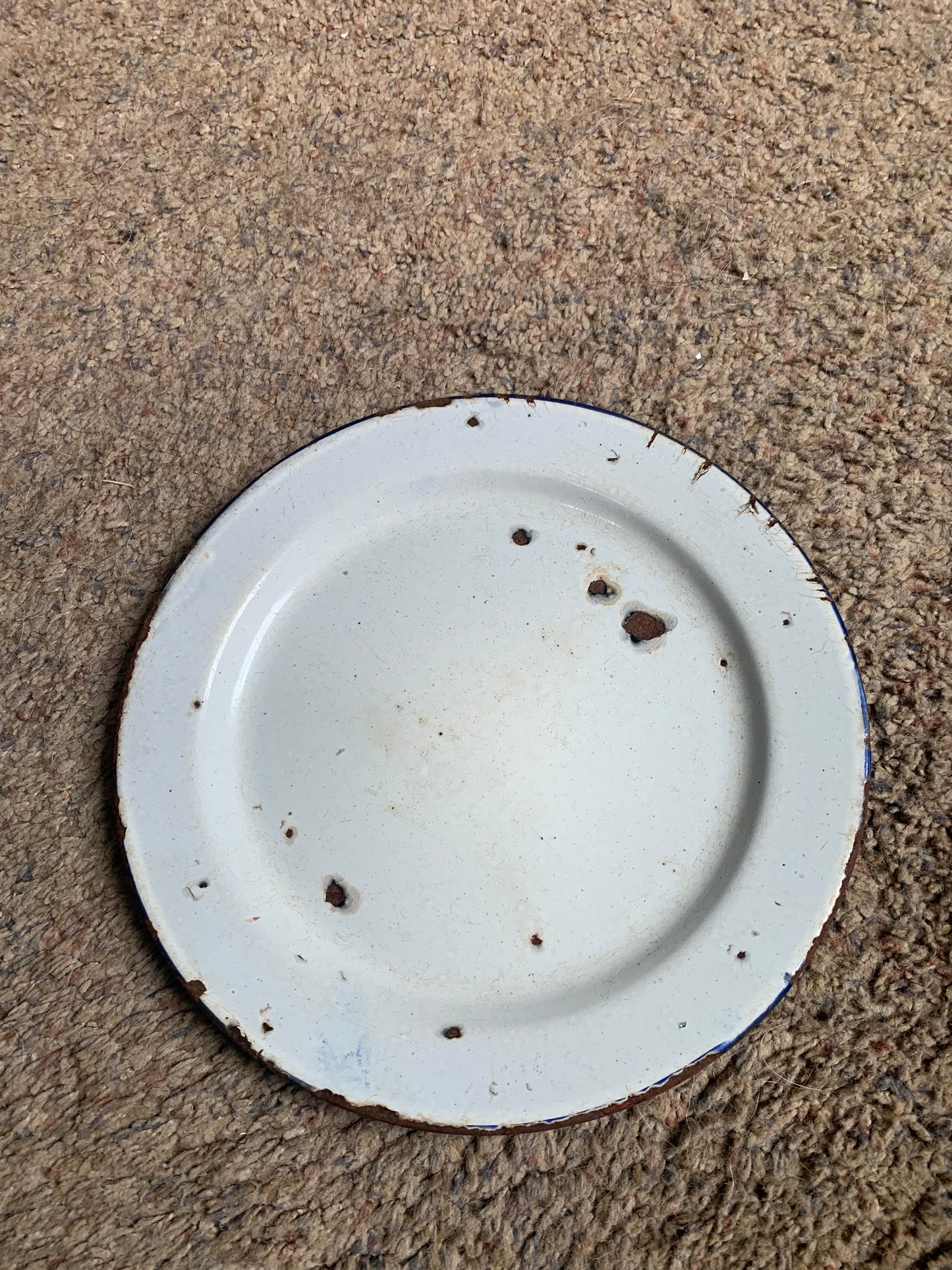 Blue/White enamel plate
