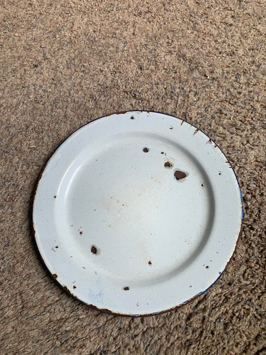 Blue/White enamel plate