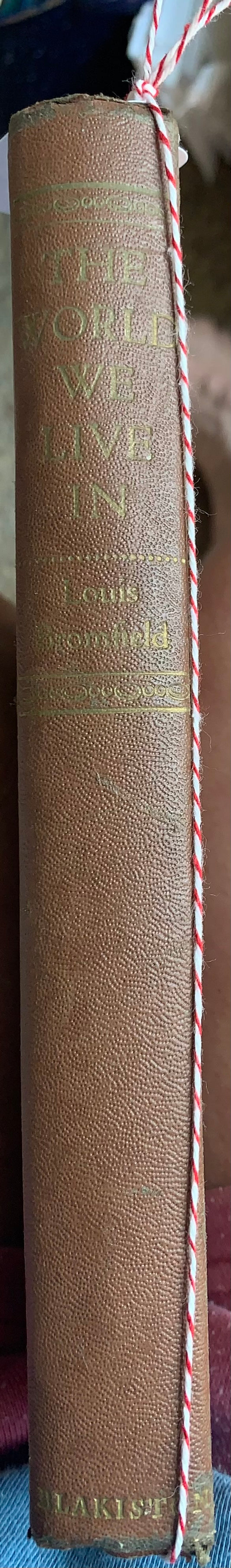 The World We Live In