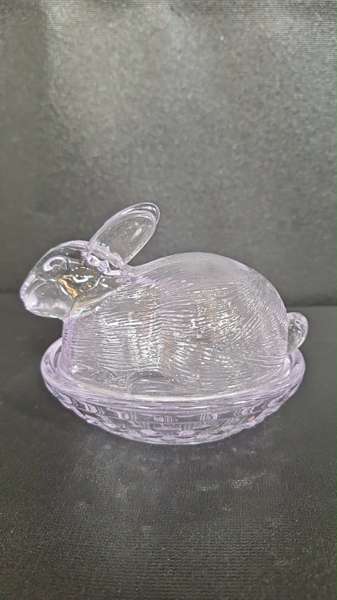 Import Purple Bunny on Basket