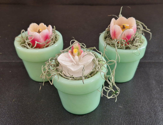 Mosser Small Jade Flower Pot w/Candle