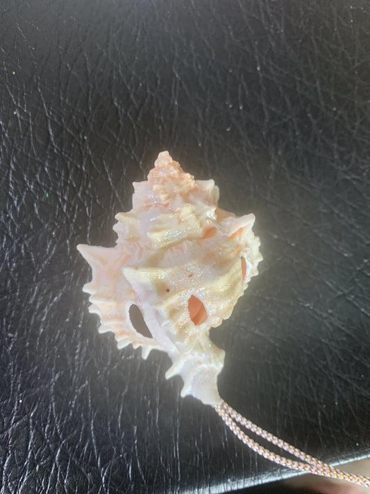 Conch Shell Christmas Ornament