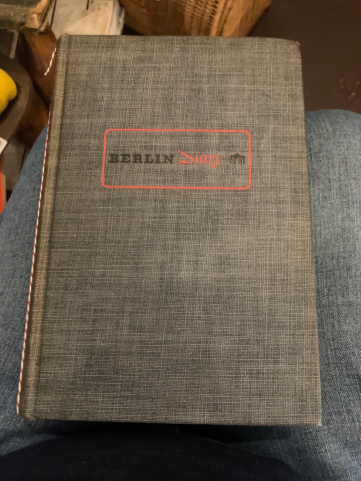 Berlin Diary
