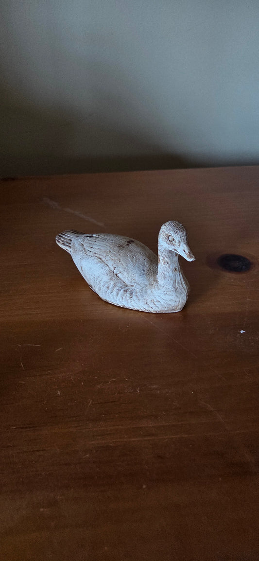 Misc Ducks