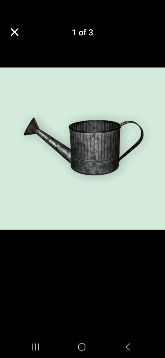 Watering can planter
