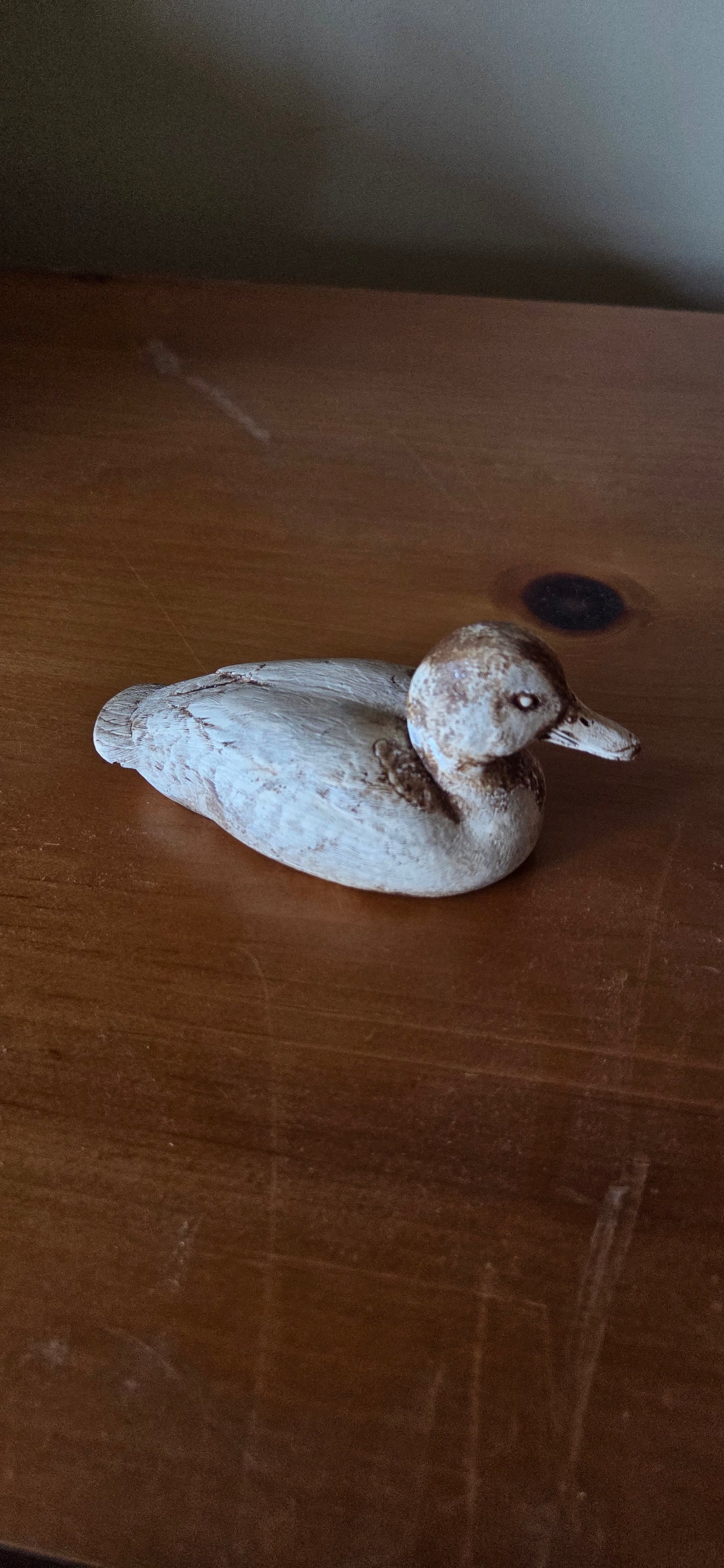 Misc Ducks