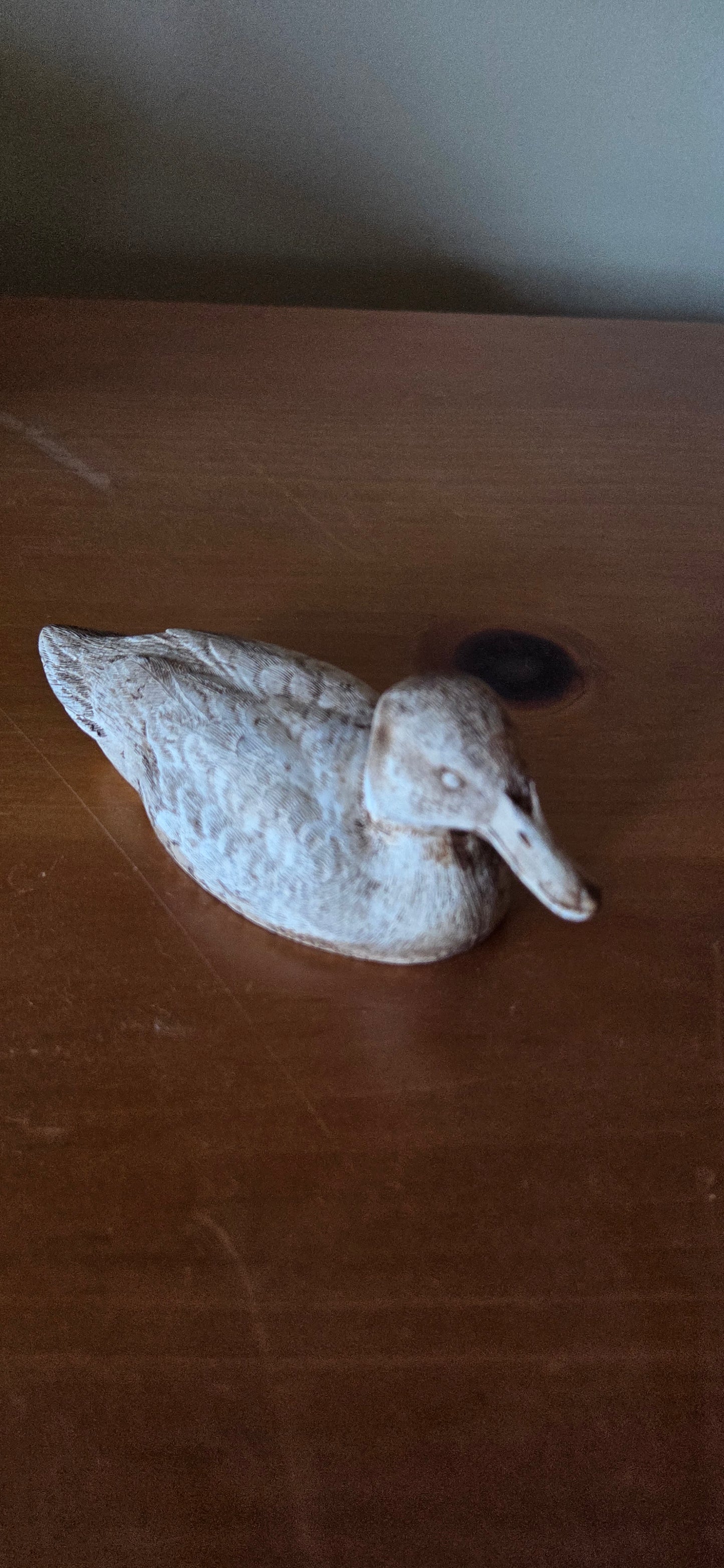 Misc Ducks