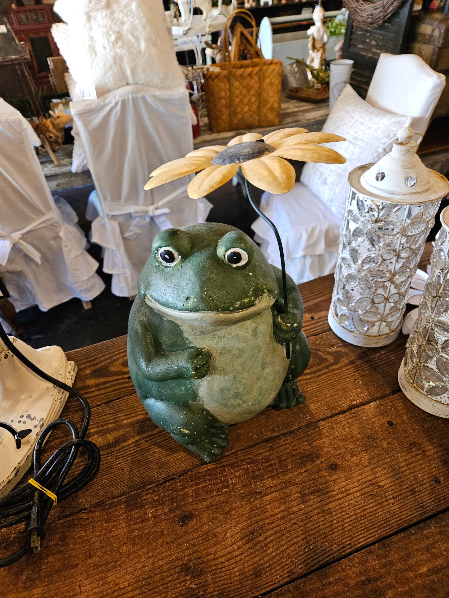Frog with flower