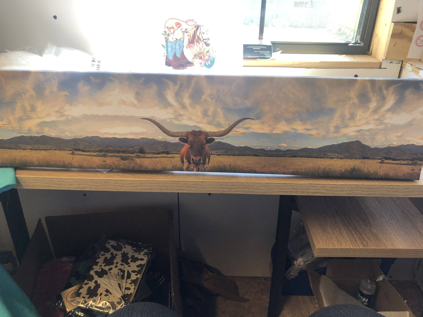 Longhorn canvas picture