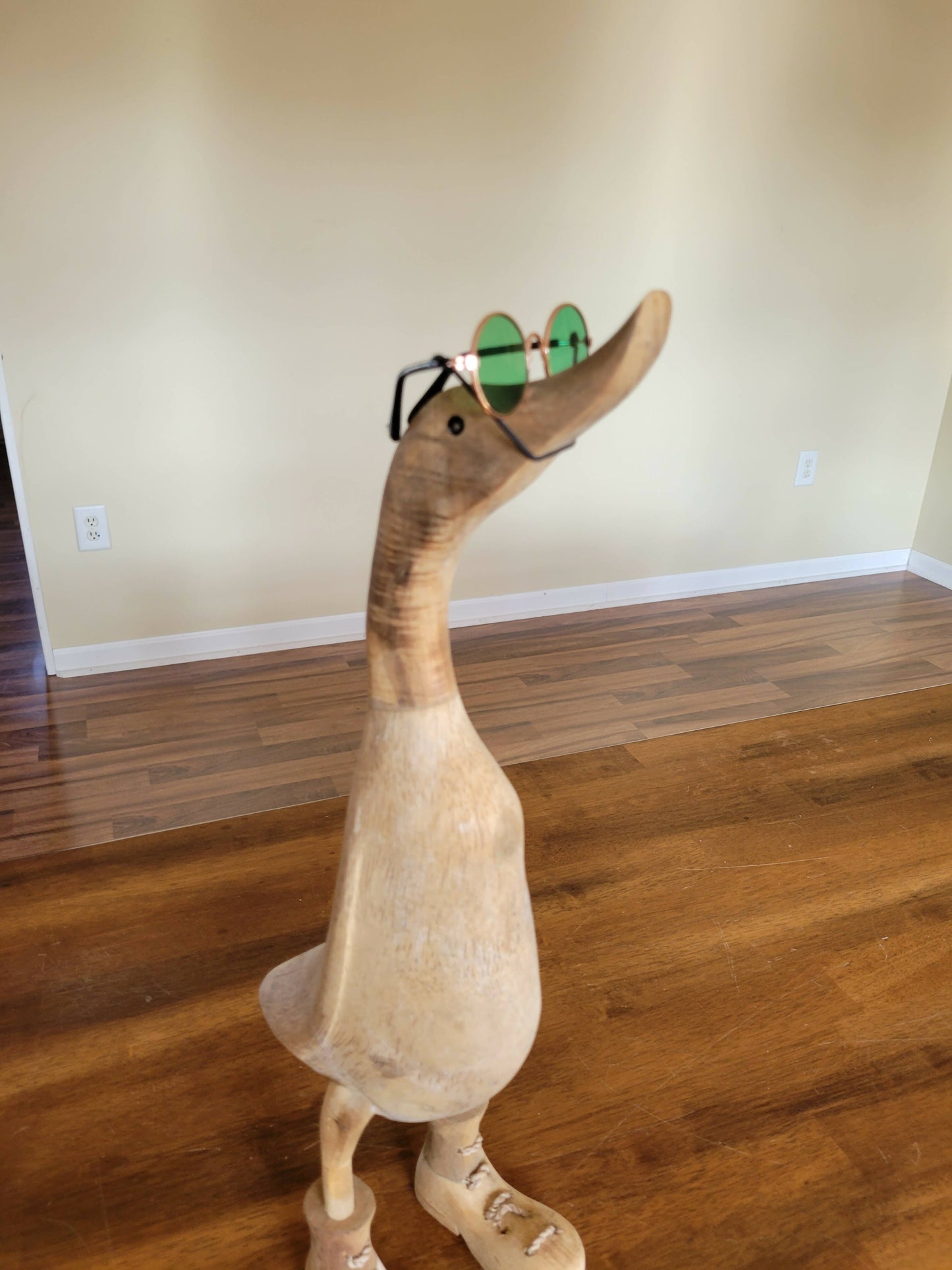 Duck glasses